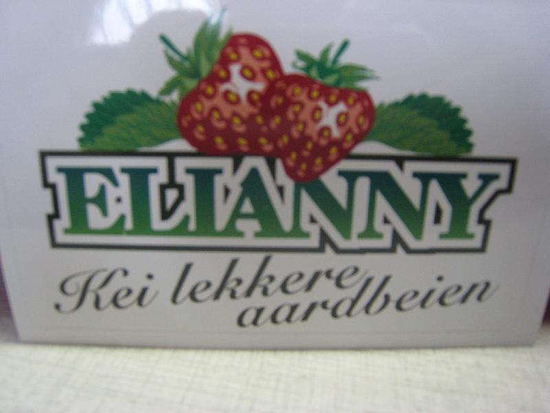 Elianny eerste veiling Fruitmasters Koningsplant john ard leon Vissers aardbeiplanten BV America (9).JPG